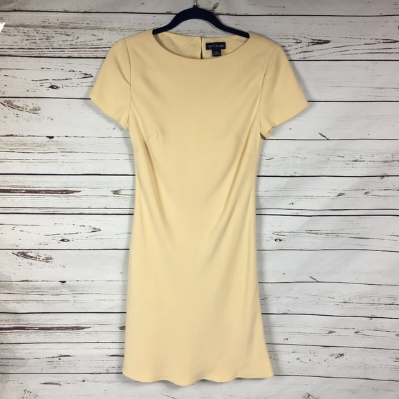 Ann Taylor Dresses & Skirts - Ann Taylor Vintage Silk Lined Tunic Dress